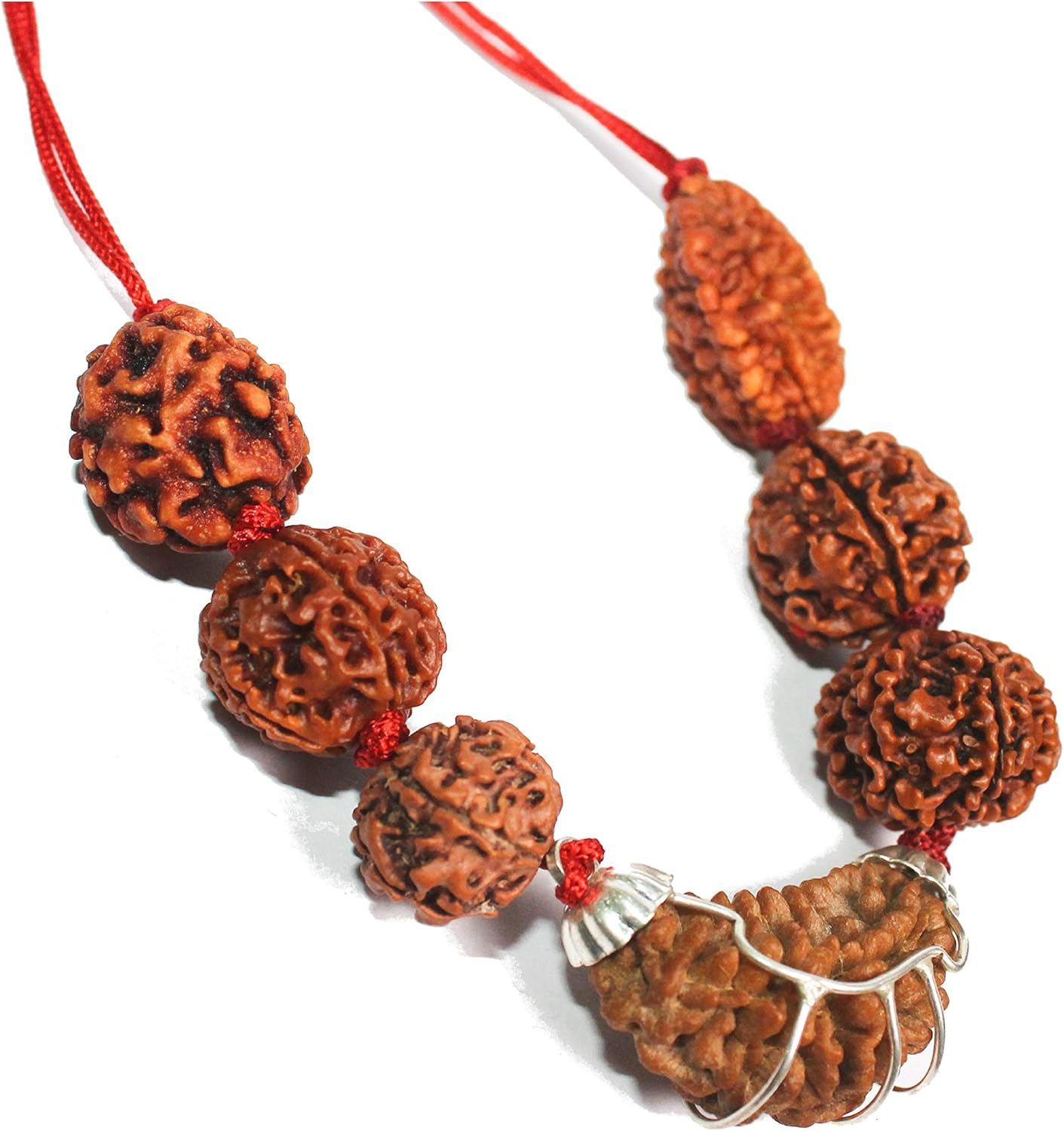 Rudraksha Image